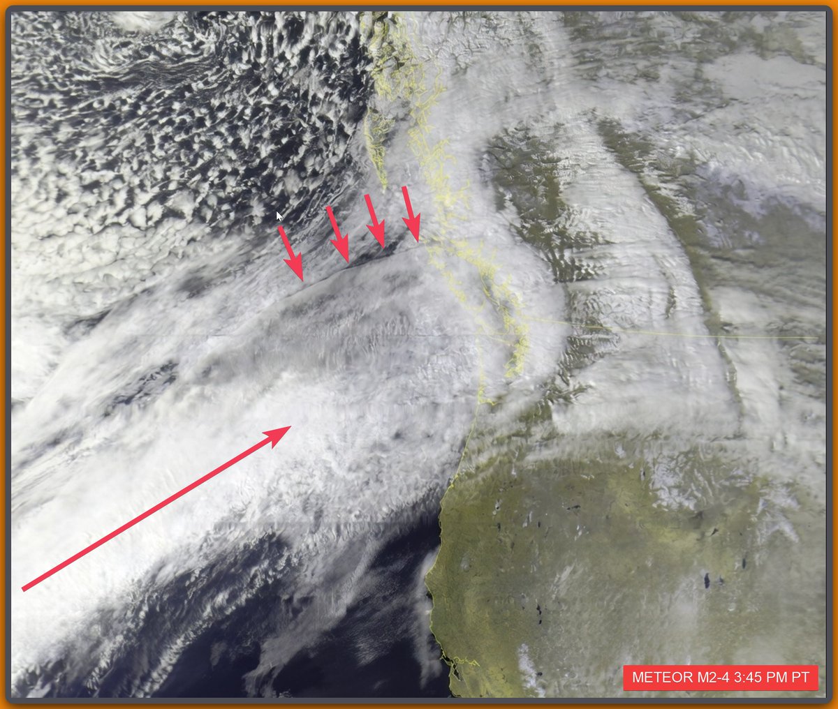 Peter Vogel tweet media