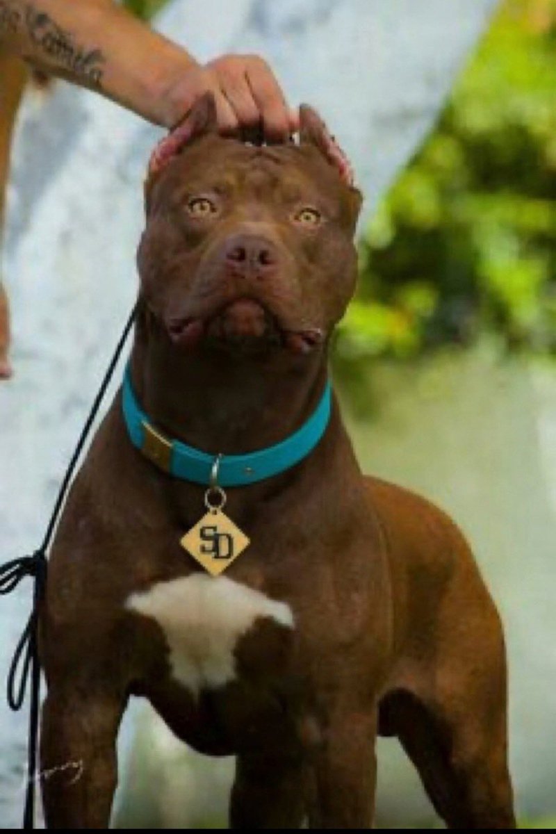 Ben Dover Jean Cule ALT tweet media