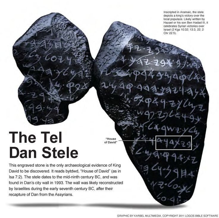 Josh Barzon tweet media