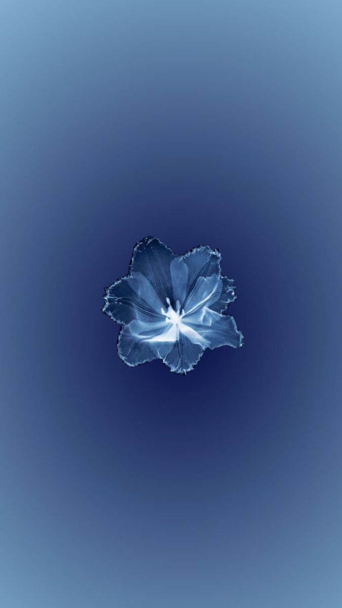 Blue Ocean tweet media