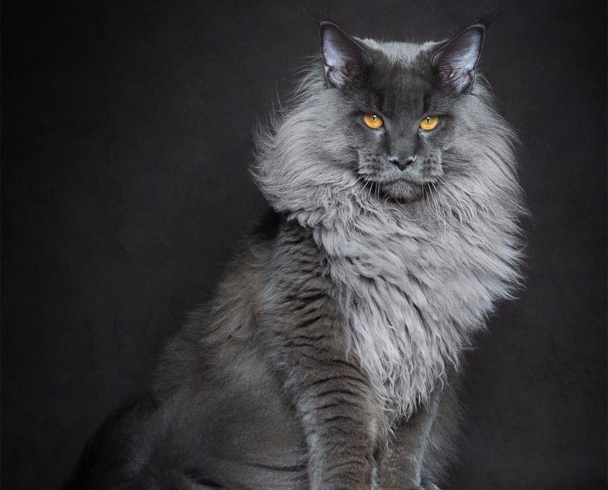 Outlier: Type 2 Civilization Supervisor®️ tweet media