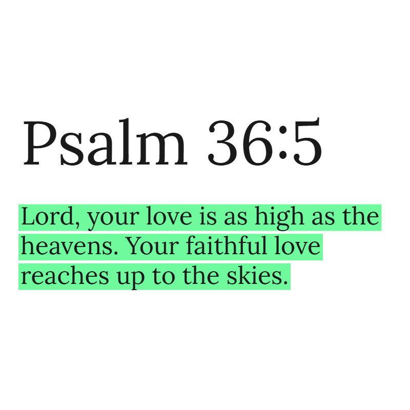 Holy Bible tweet media