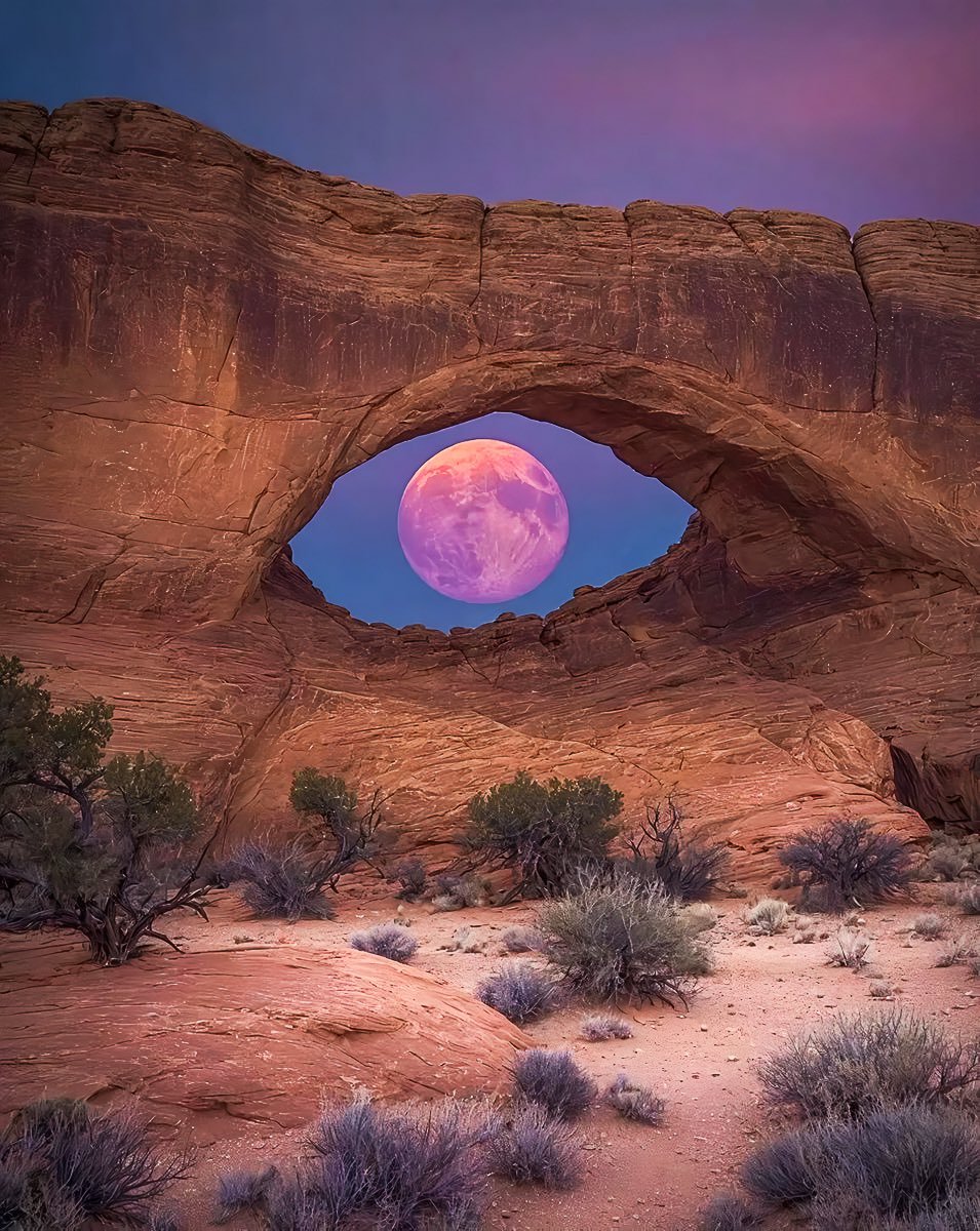 serenity tweet media