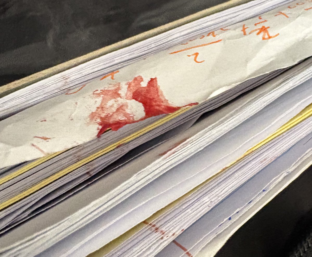 tidalpunchgaytorade🏳️‍🌈Ⓥ tweet media