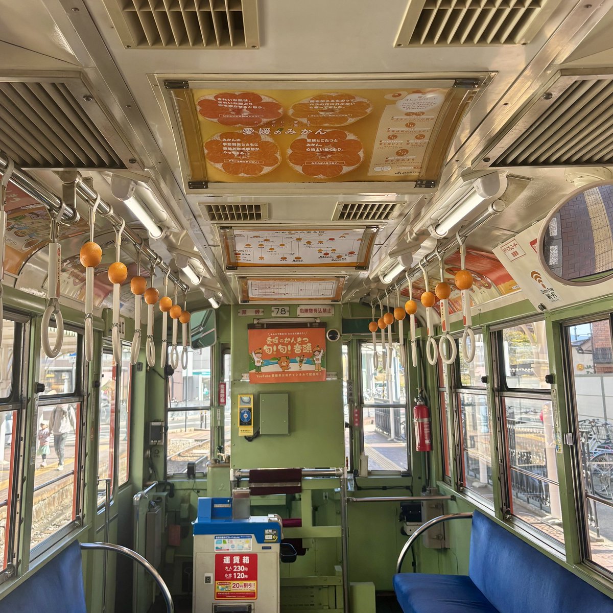 ehime_kankitsu's tweet photo. 2025愛媛いよかん大使の近藤琉杏です🍊
 
松山市内を走っている「みかん電車」に乗ってきました！🚃🧡
 
 車内には10種類のかんきつの紹介や、品種ごとの旬や特徴が書かれたつり革などが設置されています！

見かけた際には是非乗ってみてください🔆

#愛媛かんきつ部
#ココロとカラダにビタミンを https://t.co/BvU5osgP7T