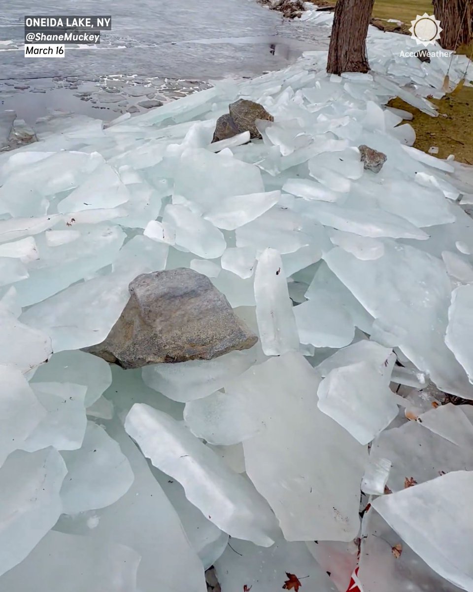 AccuWeather tweet media