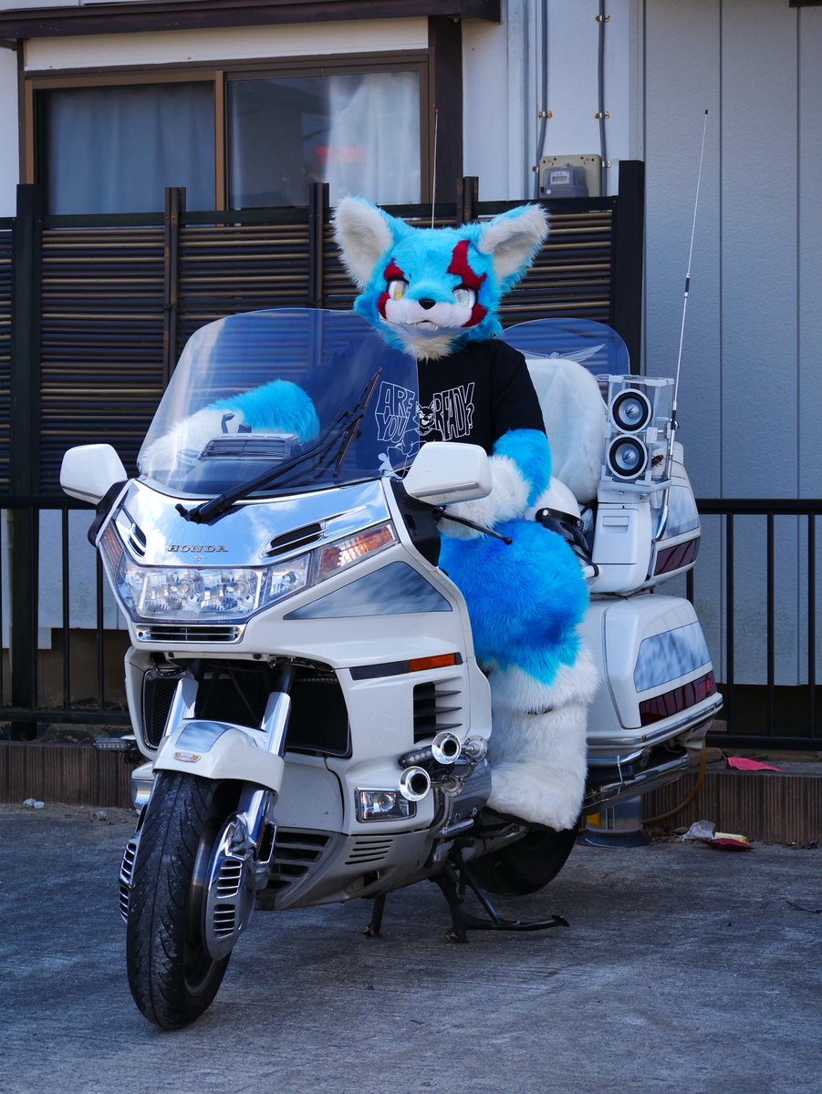 けもりぅ tweet media