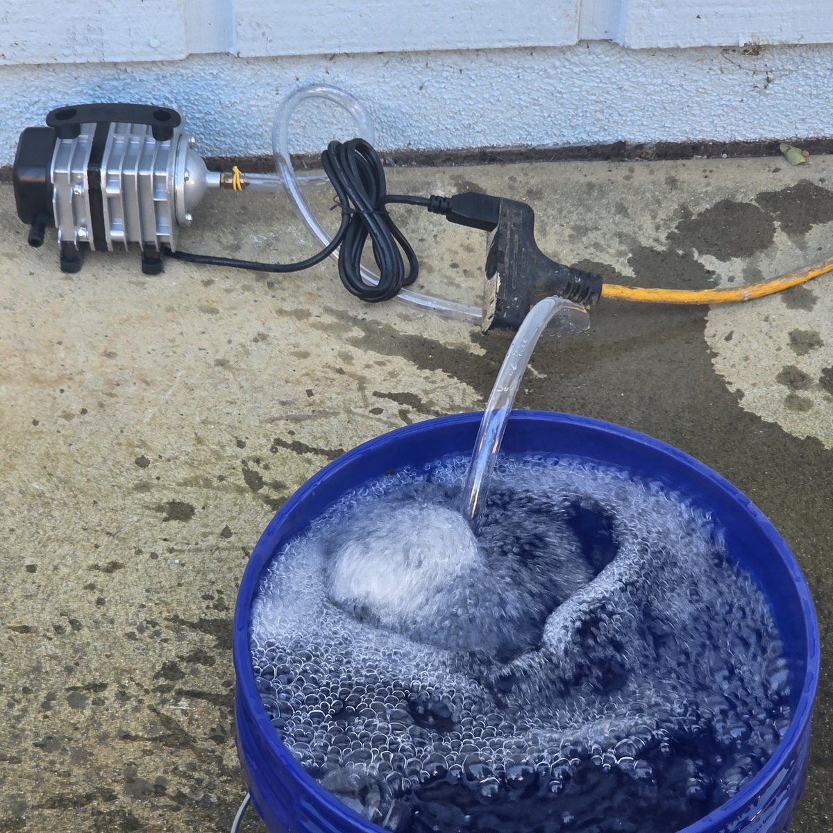 Lets make an ACT.. 24 hour bubble to vap the chlorine first..