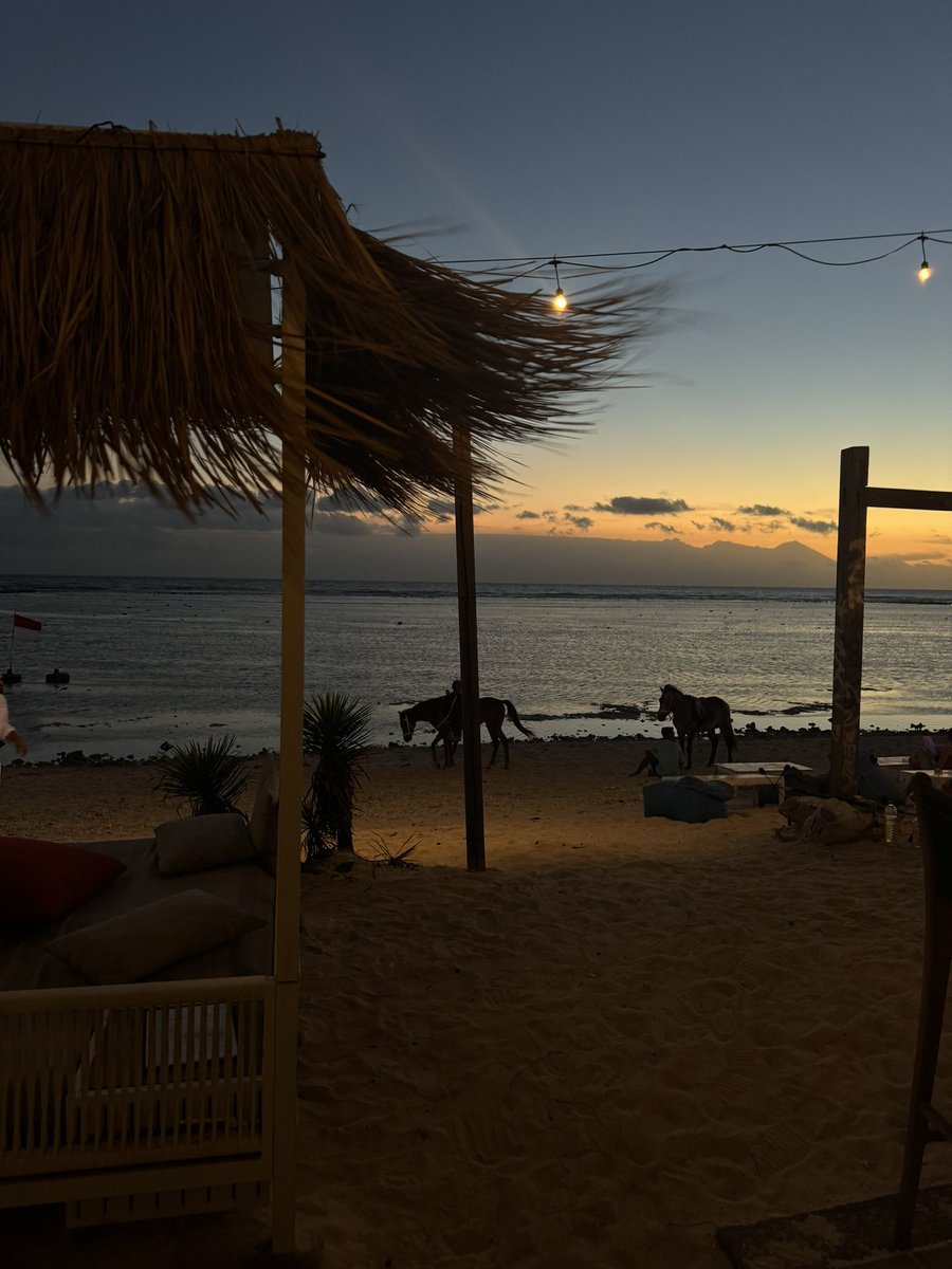 massi931_'s tweet photo. gili trawagan , bali , indonesia 🇮🇩 https://t.co/xRbGfrCIq0