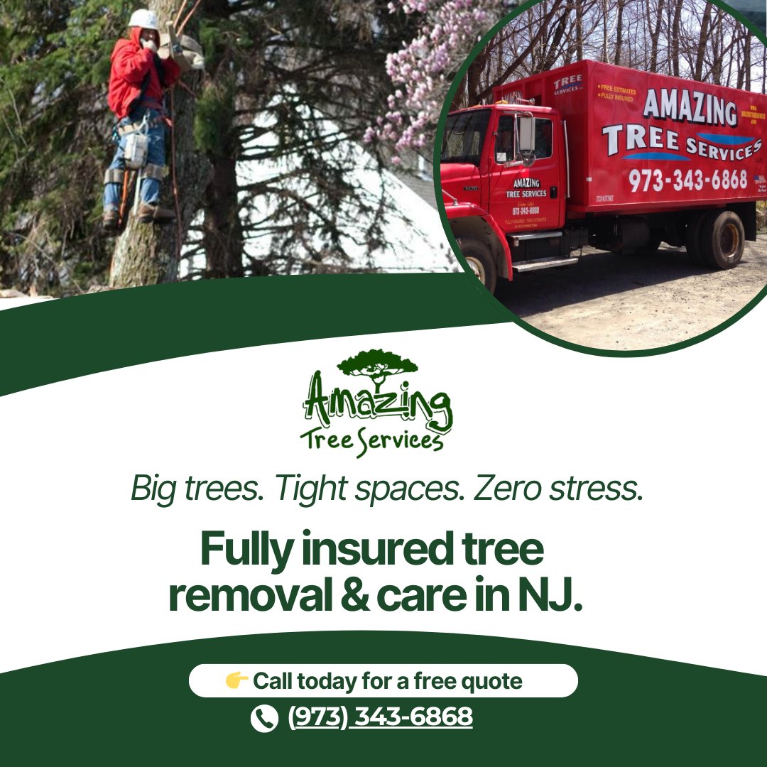 Tree Removal Estimate in North NJ

Amazing Tree Services offers professional tree removal estimate in North NJ with transparent pricing and expert evaluation. Learn more: amazingtreeservicenj.blogspot.com/2026/03/tree-r…

#treeremoval #northnj #treeservice #arborist #landscaping