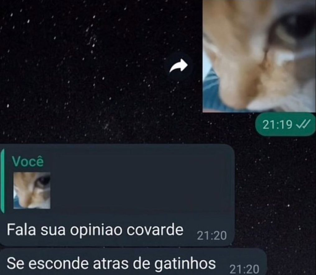 Van Grog tweet media