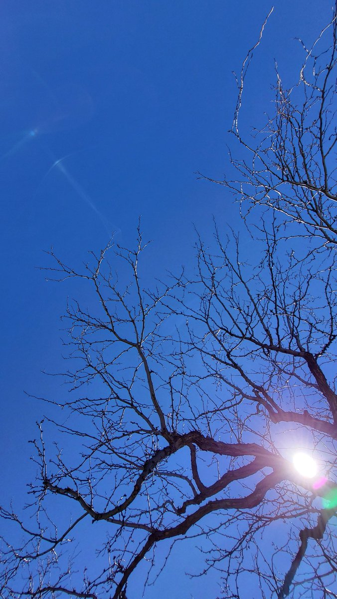 Crenshaw tweet media