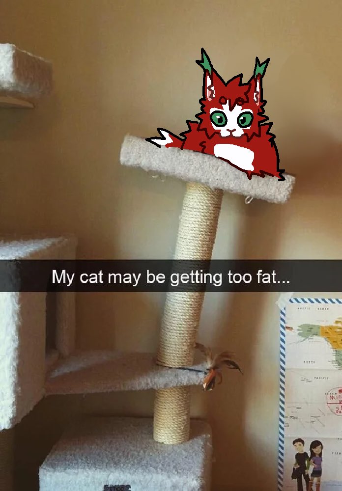 Maybe unlimited fish wasn’t a good idea…