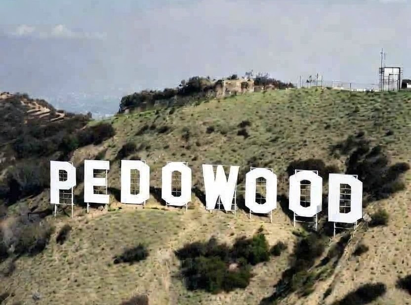 Kathy Ann🇺🇸🐈‍⬛ tweet media