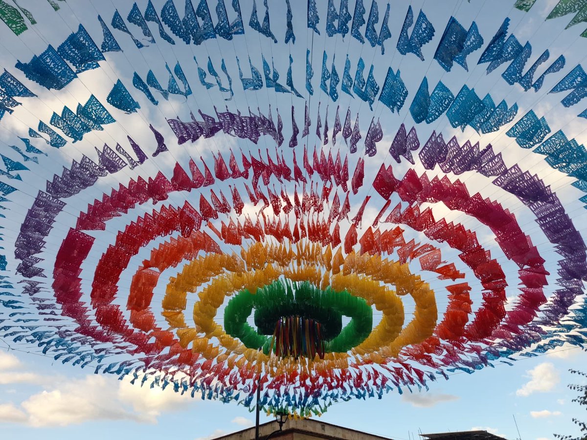 Chiara Cardoletti tweet media