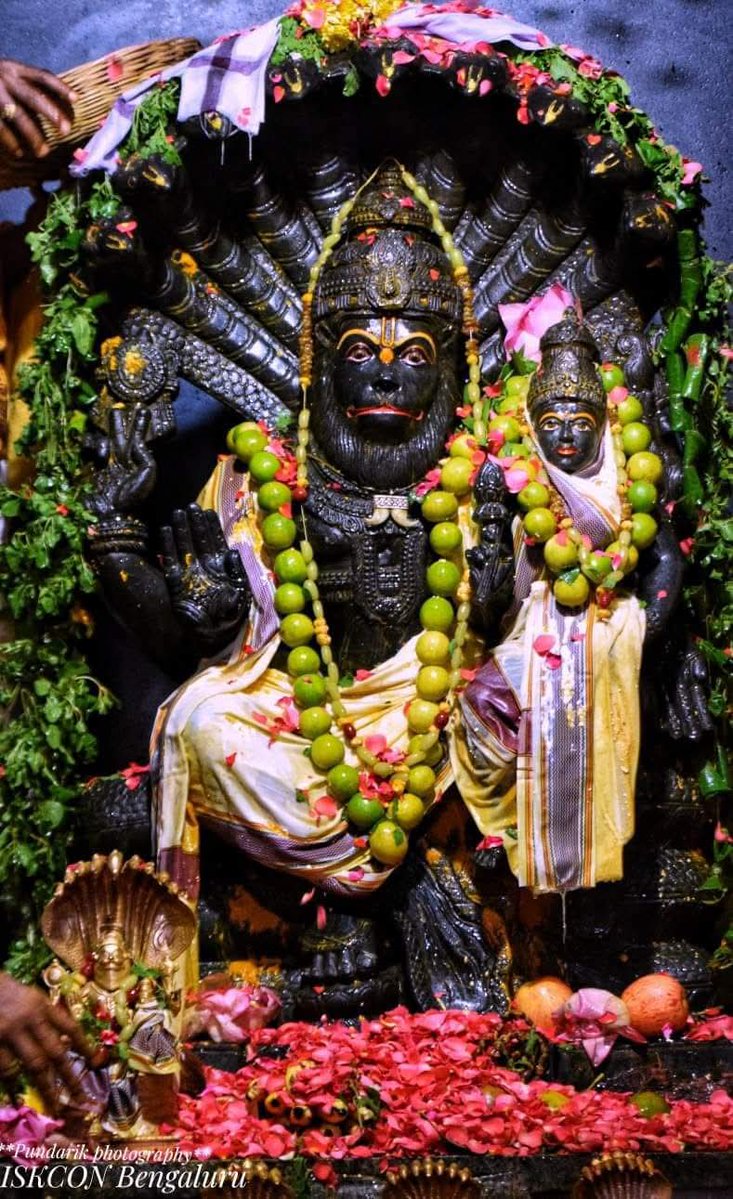 Manju 💛❤🇮🇳🚩 tweet media