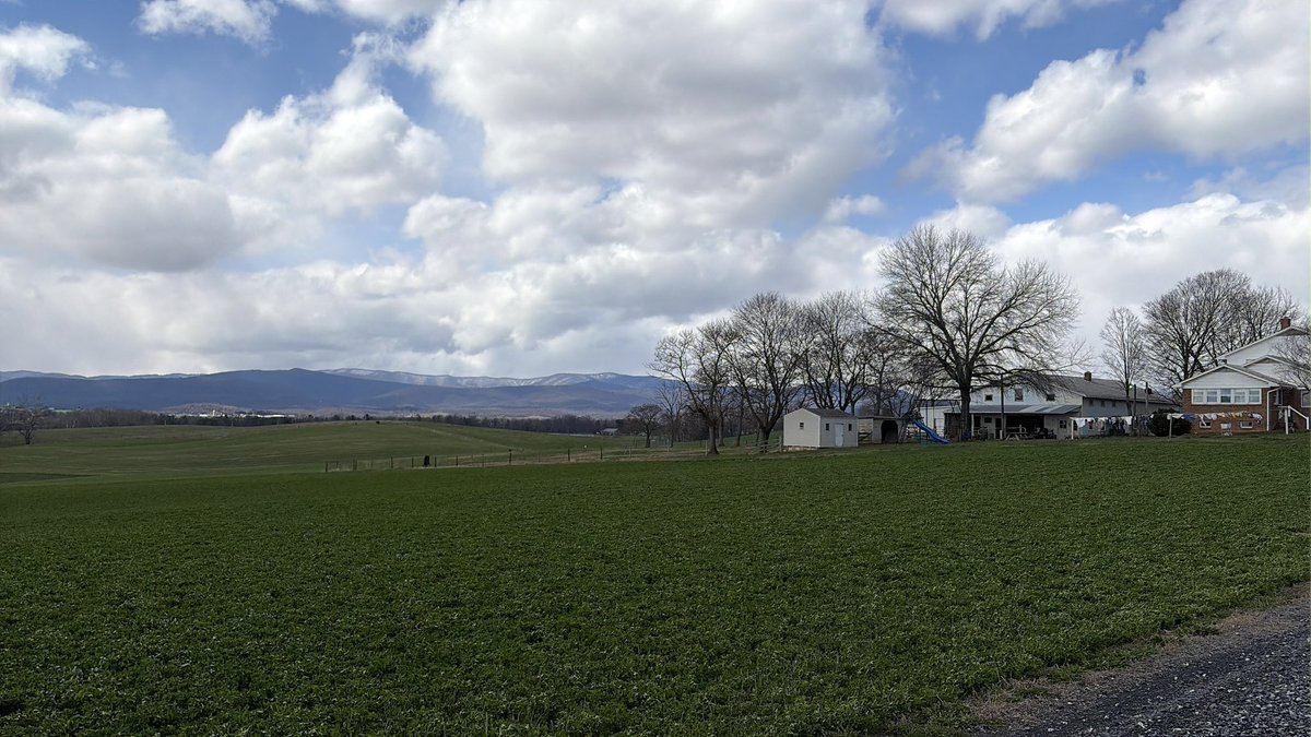 Mary Grace tweet media