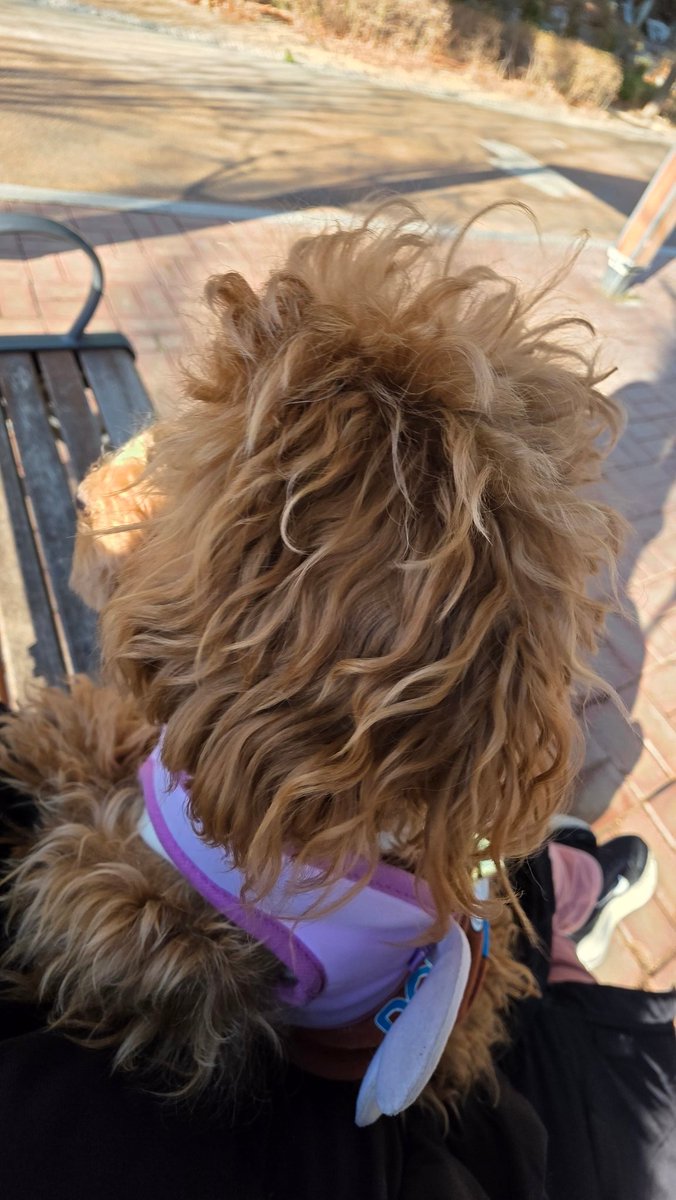 THE PEACE21🎗 tweet media