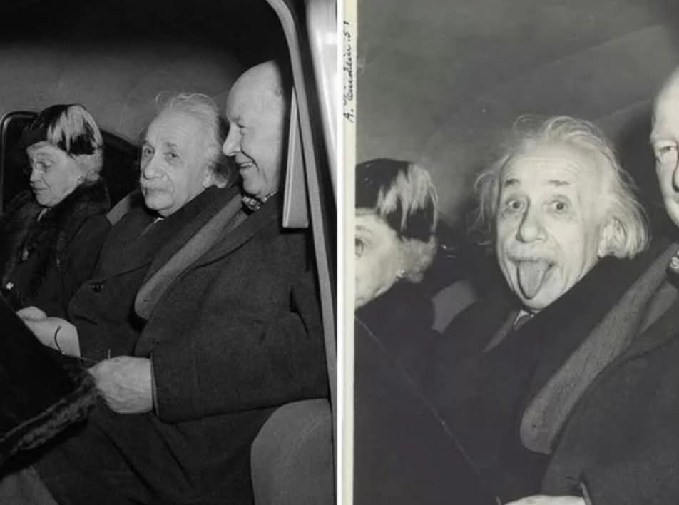 Archaeo - Histories tweet media