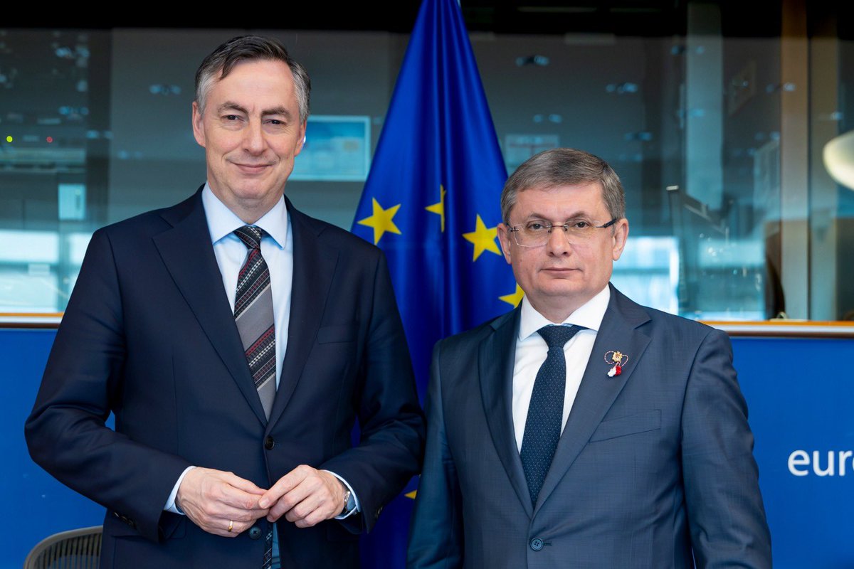 Daniela Morari tweet media