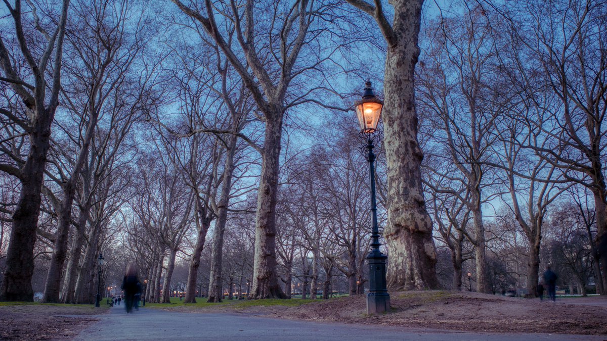 Martin Geddes tweet media