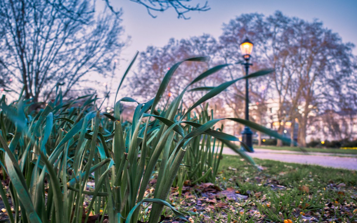 Martin Geddes tweet media