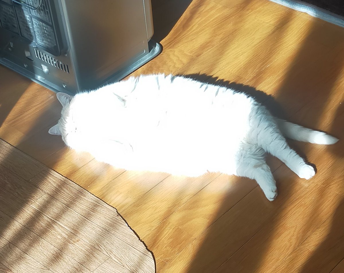 まさまさ tweet media