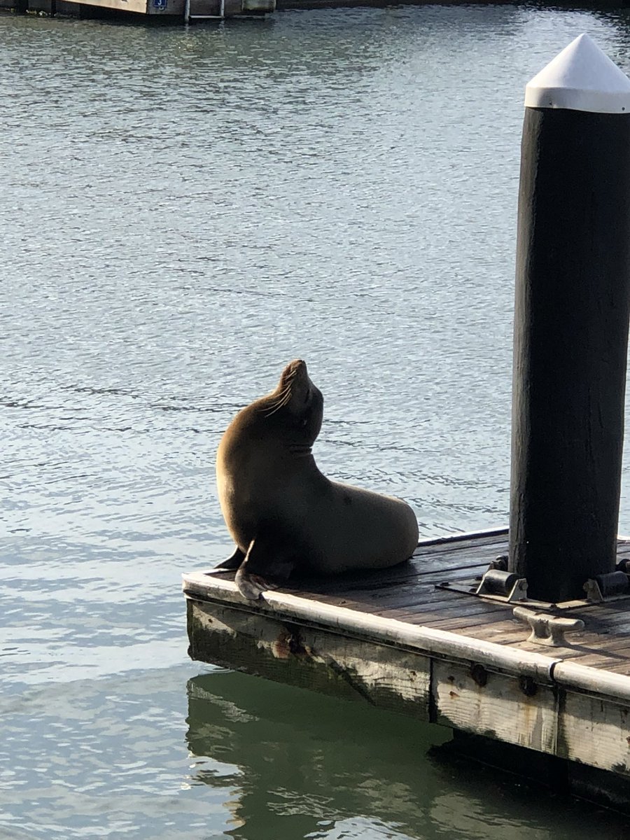 ProfHelix24🎨⚽️🎬🎶 tweet media