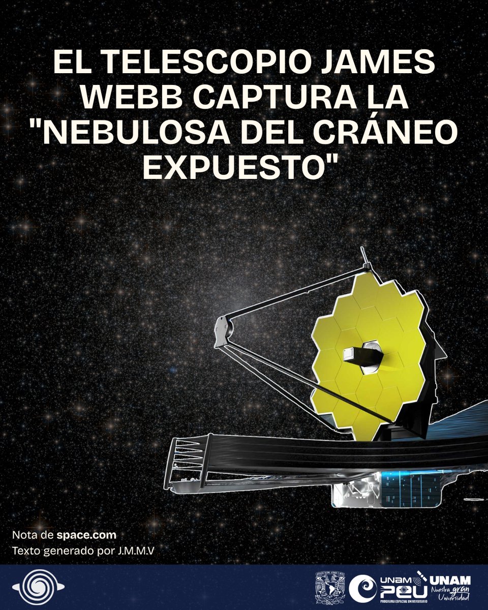 PEU UNAM tweet media