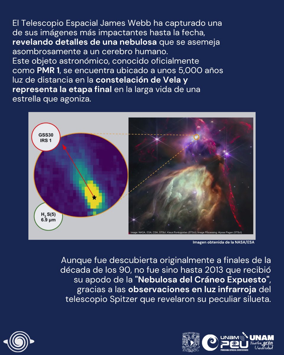 PEU UNAM tweet media