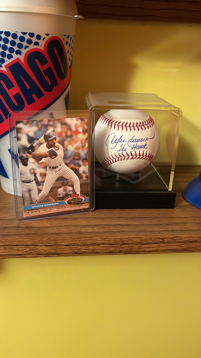 Scott North tweet media