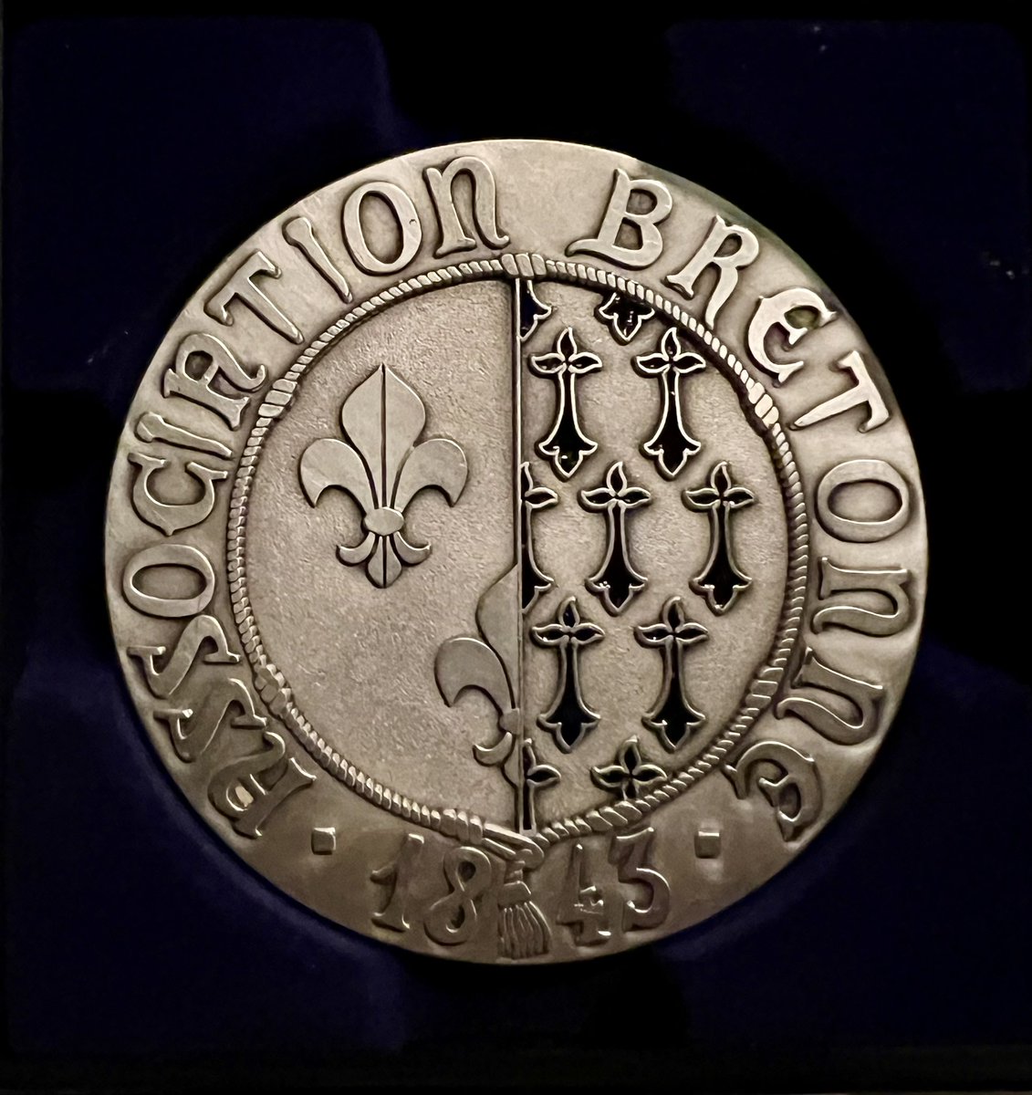 Hemarina tweet media