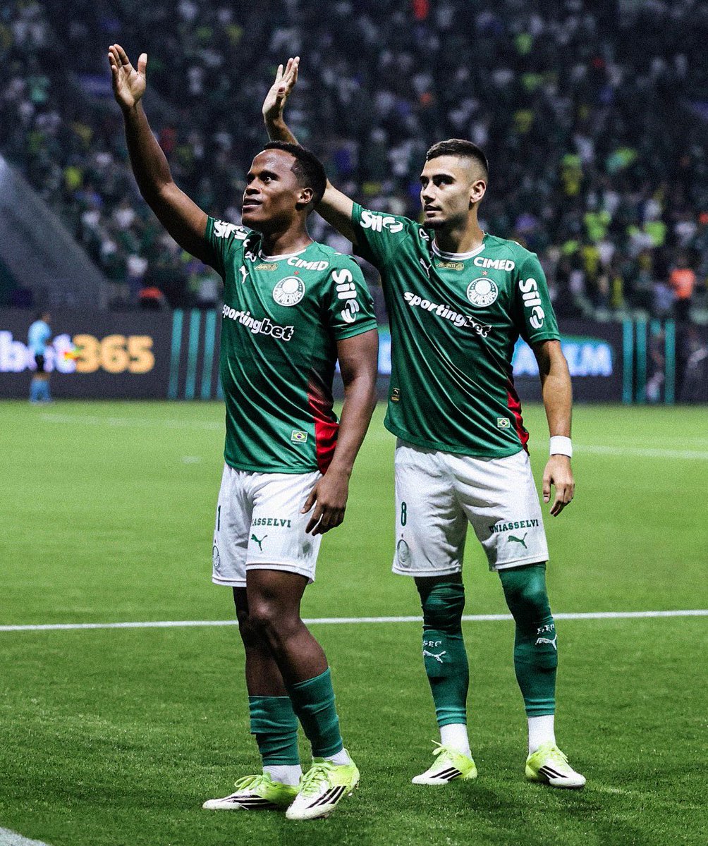 picmeiras tweet media