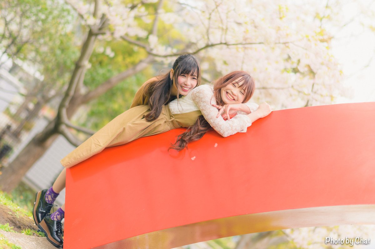 まみ🐈🐾🐈‍⬛🐾 tweet media