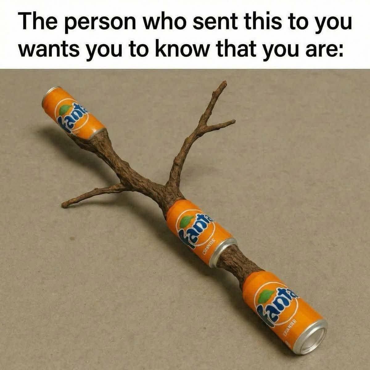 Americana Mama tweet media