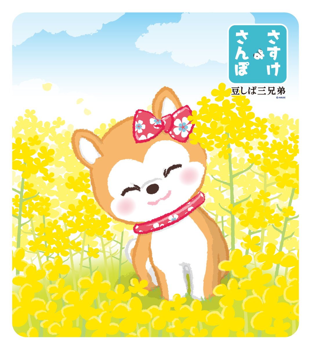 【豆しば三兄弟】さすけさんぽ tweet media