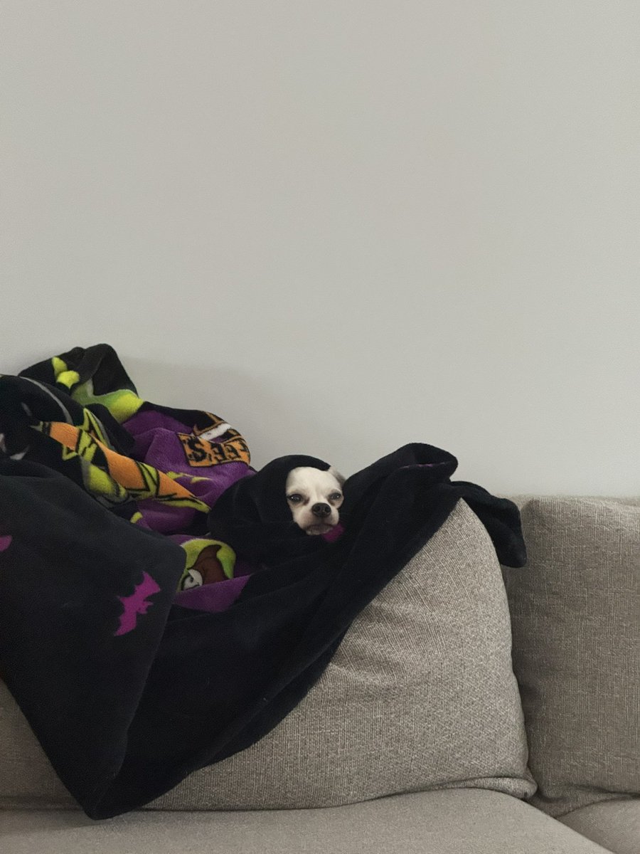 morning walk and the aftermath