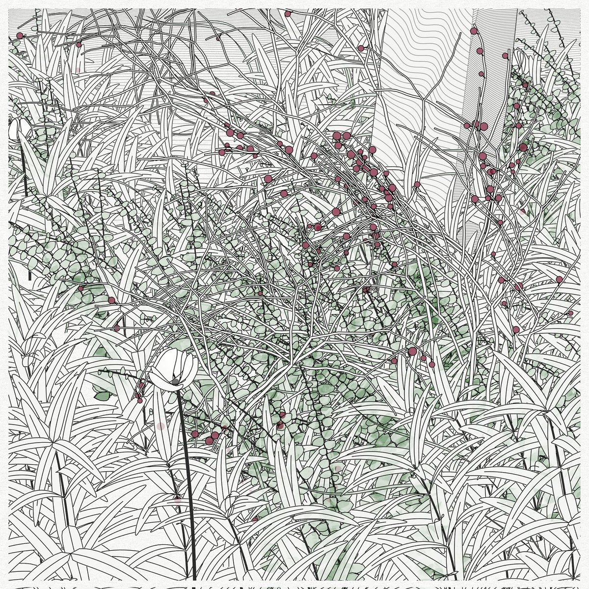 h=n collector tweet media