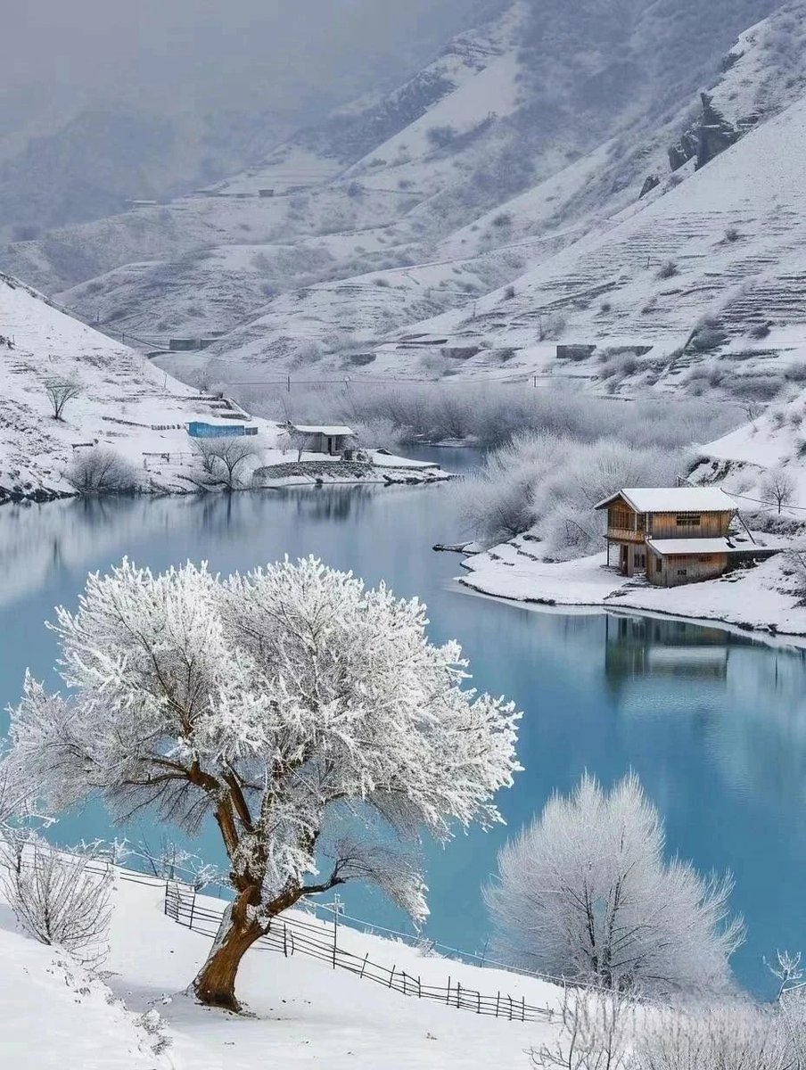 Wade（互fo） tweet media