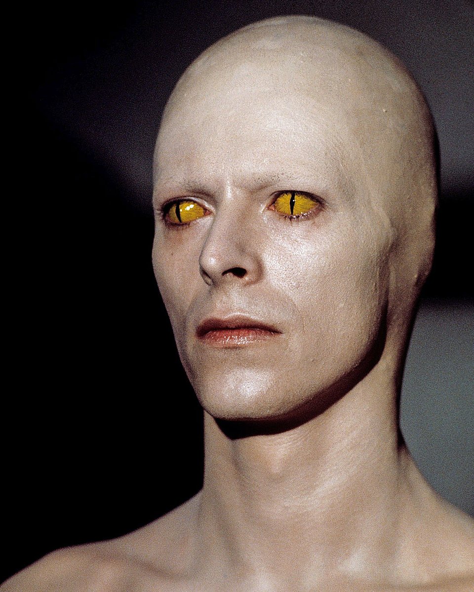 David Bowie Official tweet media