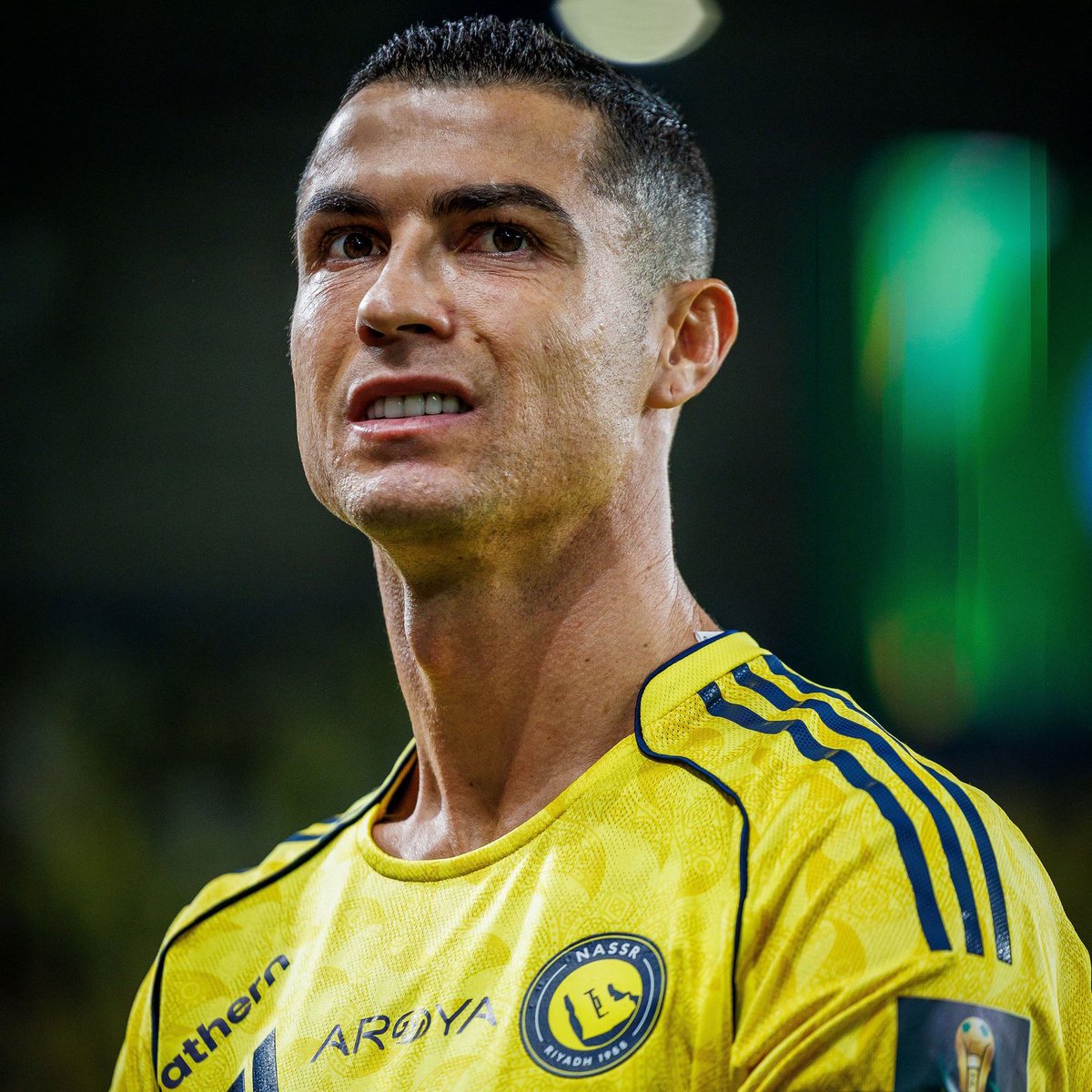 GOAL ZONE tweet media