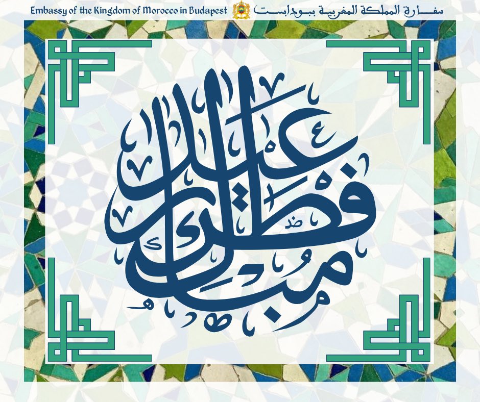 Morocco in hungary tweet media