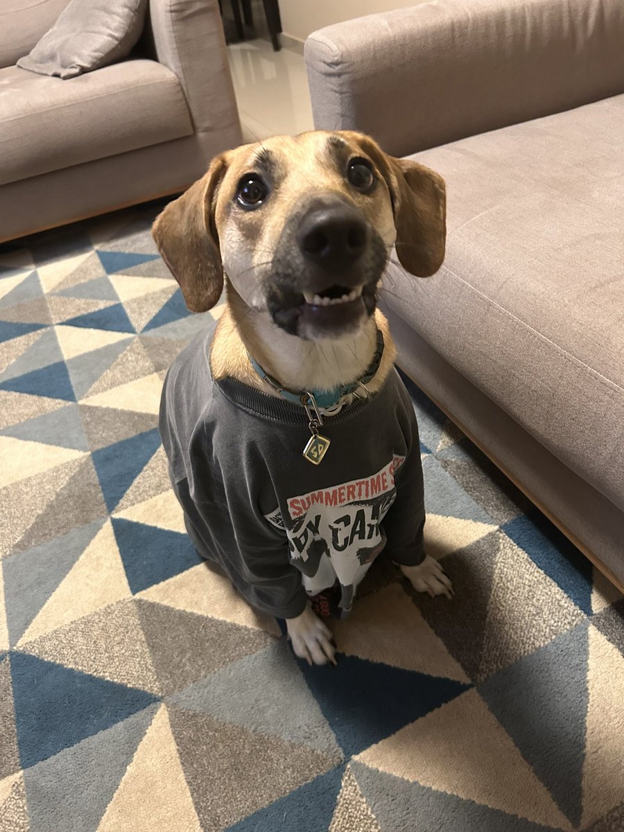 vic vaporub tweet media