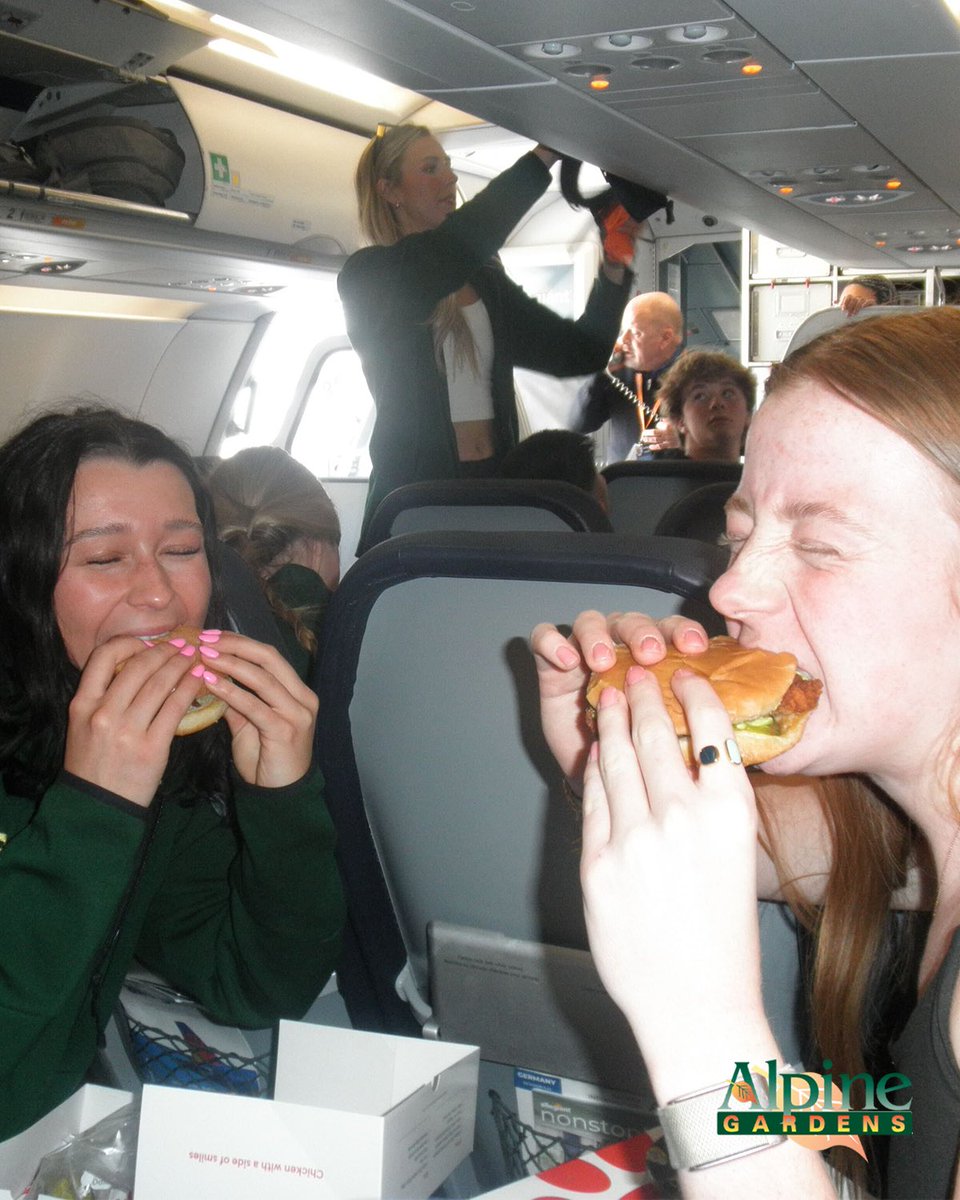 Colorado State Women's Basketball tweet media