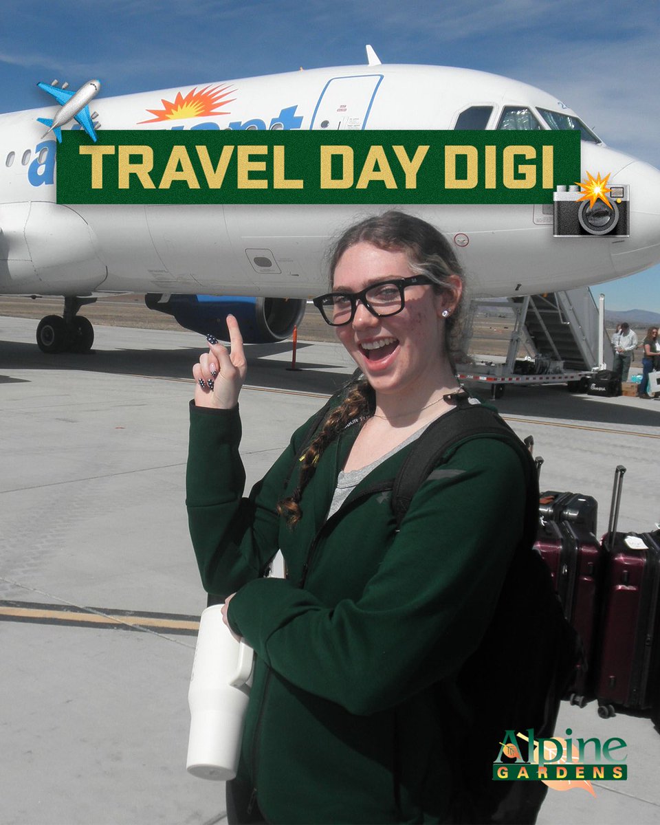 Colorado State Women's Basketball tweet media