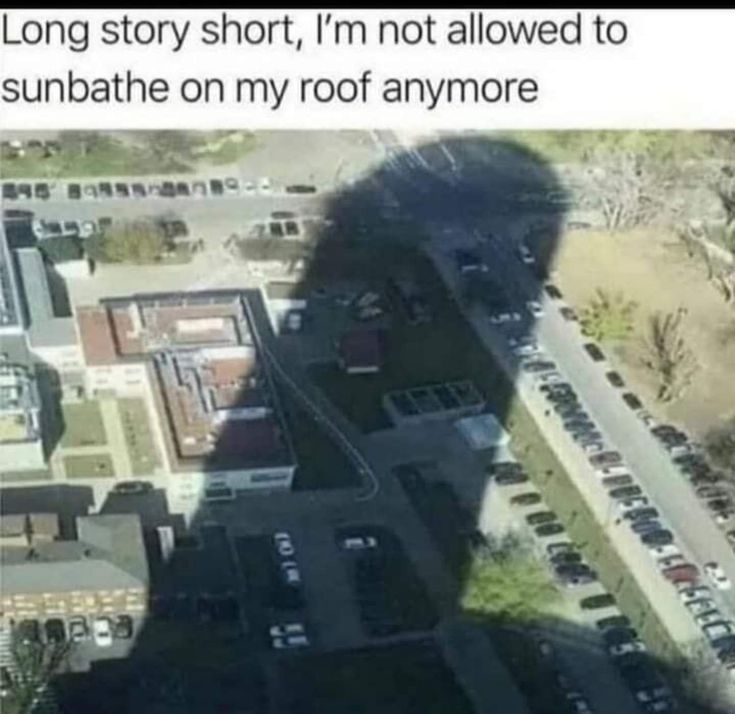 Austin Capps tweet media