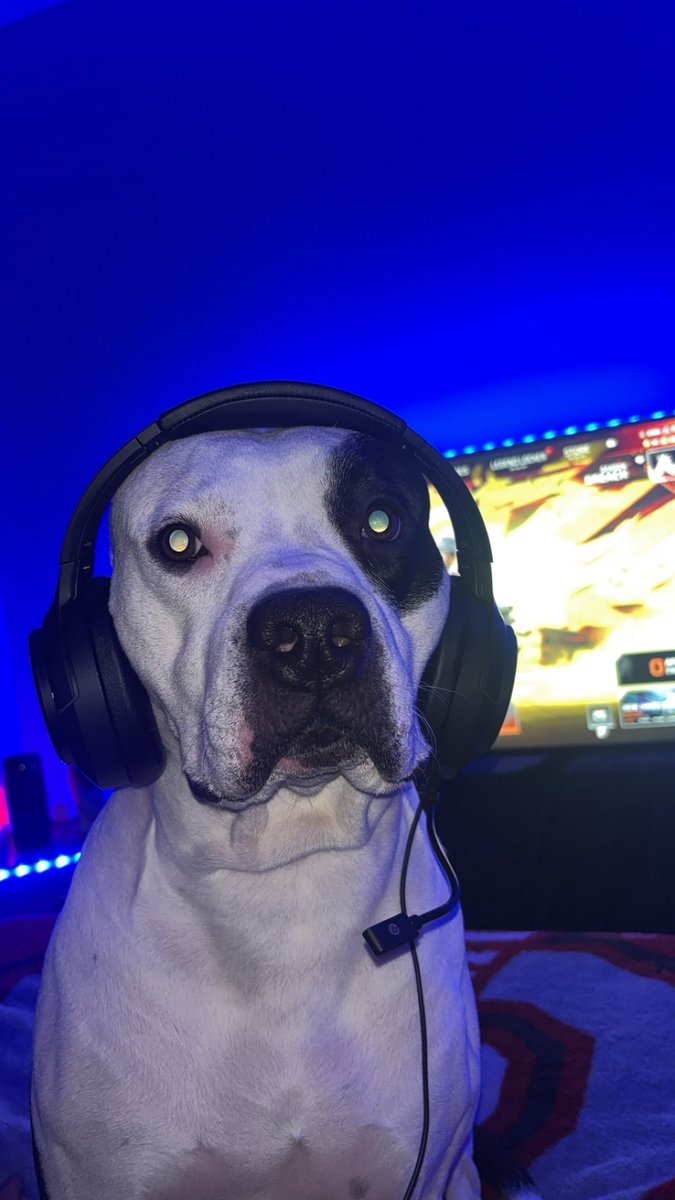 Twitch: xix_t3_xix tweet media