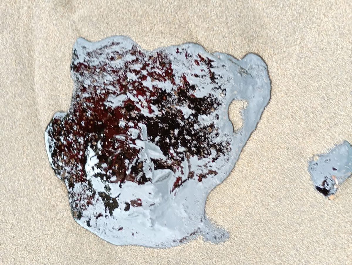 AGNLosTuxtlas's tweet photo. 🟥Manchas de crudo se extienden por kilómetros en playas de #Coatzacoalcos tras paso del Frente Frío 41

https://t.co/QzzmVQ2hB3 https://t.co/nq69iKNAQw