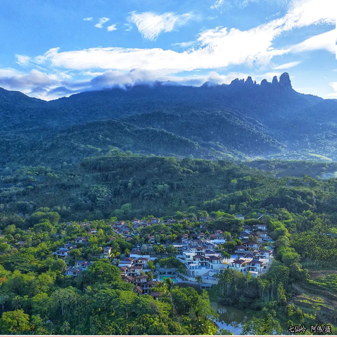 Hi Baoting tweet media