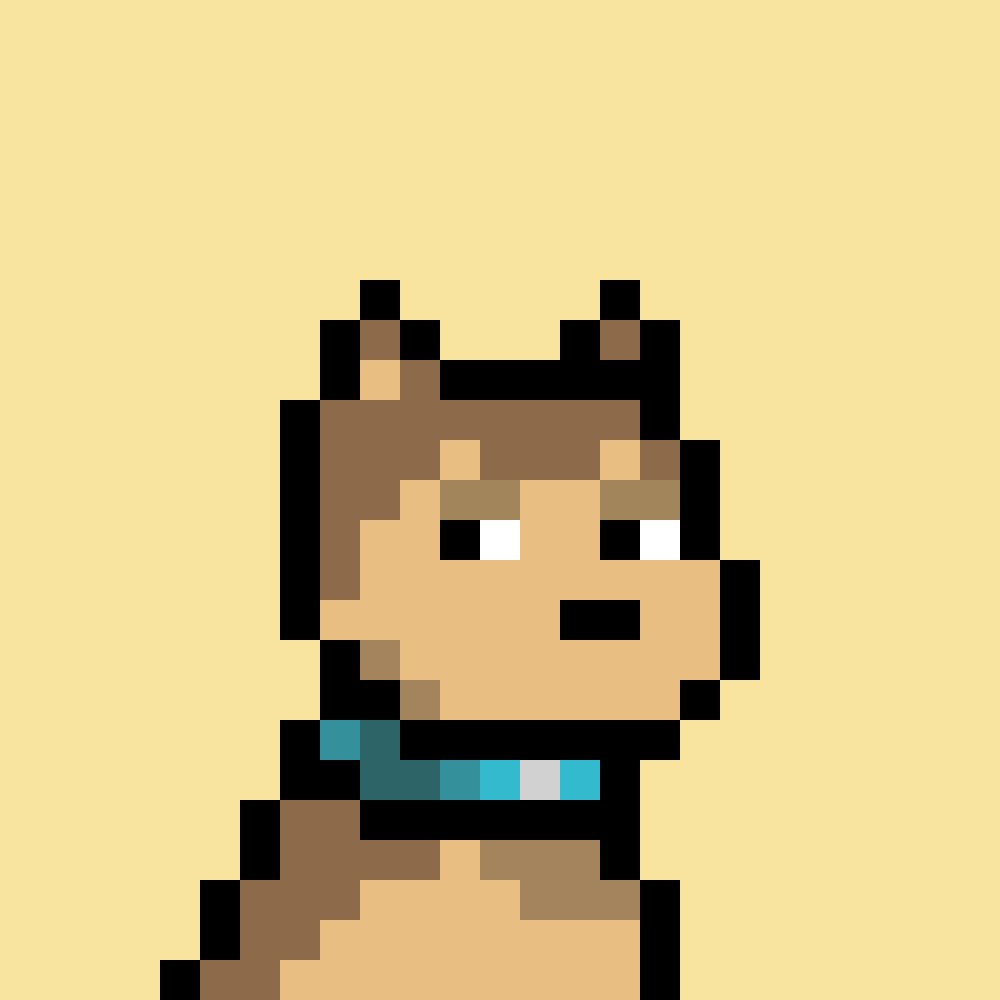 cpresley 🦁 tweet media